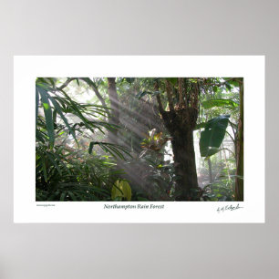 Northampton-Regen-Wald III Poster
