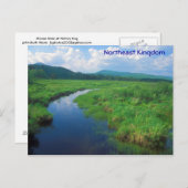 Northeast Vermont Victory Bog Postkarte (Vorne/Hinten)