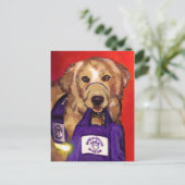 Northeast Wisconsin Service Dogs Postkarte (Stehend Vorderseite)