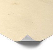 Norther Parula von Audubons Vögeln von Amerika Poster (Ecke)