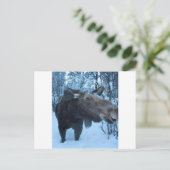 NORTHERMOOSE POSTKARTE (Stehend Vorderseite)