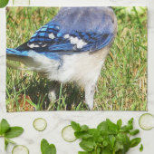 Northern Blue Jay Geschirrtuch (Gefaltet)