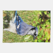 Northern Blue Jay Geschirrtuch (Horizontal)