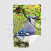 Northern Blue Jay Golfhandtuch (Insitu)