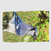 Northern Blue Jay Golfhandtuch (Horizontal)