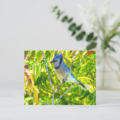 Northern Blue Jay in Tree Nature Custom Postkarte (Stehend Vorderseite)