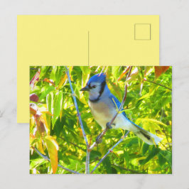 Northern Blue Jay in Tree Nature Custom Postkarte