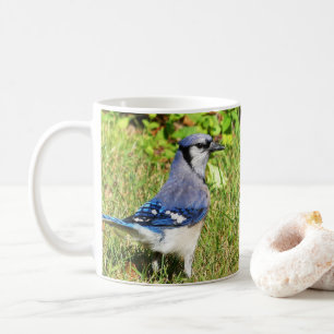 Northern Blue Jay Kaffeetasse