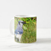 Northern Blue Jay Kaffeetasse (Vorderseite Links)