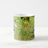 Northern Blue Jay Kaffeetasse (Mittel)