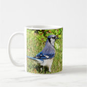 Northern Blue Jay Kaffeetasse (Links)
