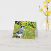 Northern Blue Jay Karte (Gelbe Blume)