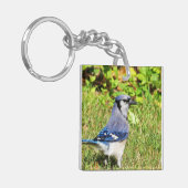 Northern Blue Jay Schlüsselanhänger (Vorderseite links)