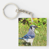 Northern Blue Jay Schlüsselanhänger (Vorderseite)