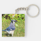Northern Blue Jay Schlüsselanhänger (Rückseite)