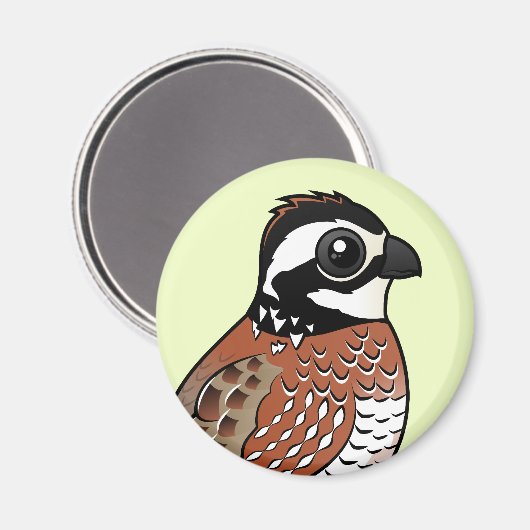 Northern Bobwhite Magnet (Vorderseite/Rückseite)