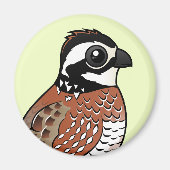 Northern Bobwhite Magnet (Vorne)