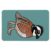 Northern Bobwhite Magnet (Horizontal)