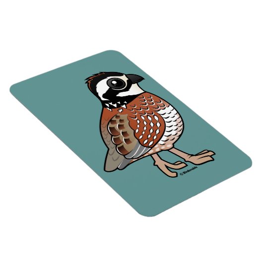 Northern Bobwhite Magnet (Rechte Seite)