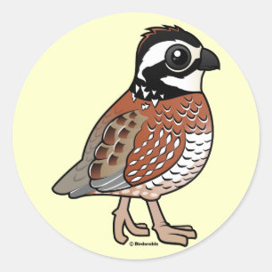 Northern Bobwhite Runder Aufkleber