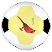 Northern cardinal bird cartoon illustration fußball (Gedreht)