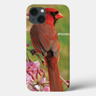 Northern Cardinal Case-Mate iPhone Hülle
