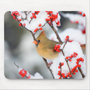 Northern Cardinal female on Common Winterberry Mousepad
