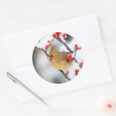 Northern Cardinal female on Common Winterberry Runder Aufkleber (Umschlag)