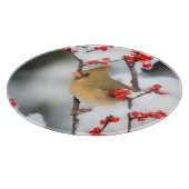 Northern Cardinal female on Common Winterberry Schneidebrett (Ecke)