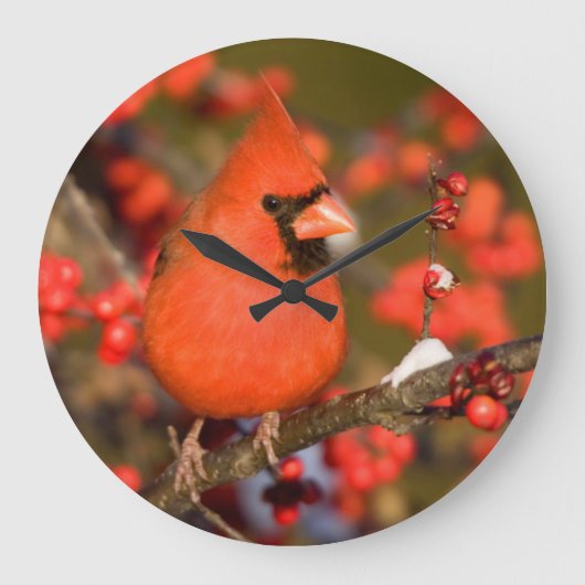 Northern Cardinal in Common Winterberry Große Wanduhr (Vorderseite)