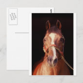Northern Dancer Up Nah & Personal! Postkarte (Vorne/Hinten)