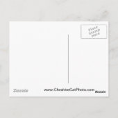 Northern Elephant Siegel California Products Postkarte (Rückseite)