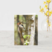 Northern Flicker #1 - Blank Note Card Karte (Gelbe Blume)