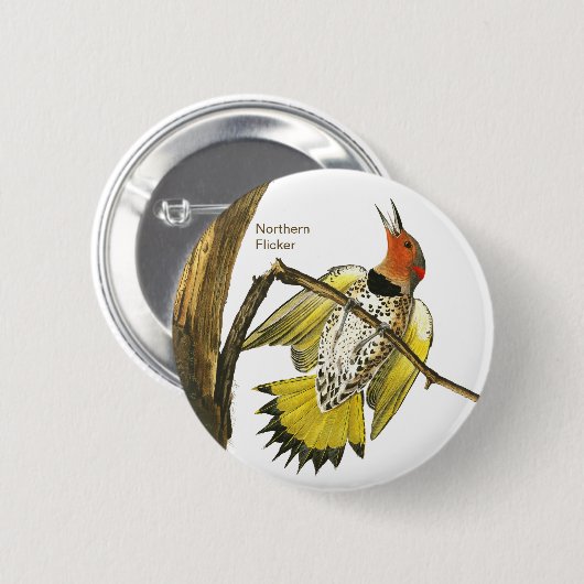Northern Flicker, Audubon, Birdwatcher Accessory, Button (Vorne & Hinten)