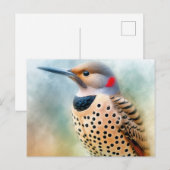 Northern Flicker Bird Art Postkarte (Vorne/Hinten)