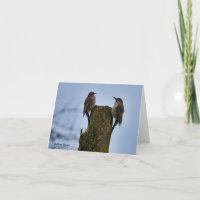 Northern Flicker Bird Card