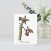 Northern Flicker, John Audubon Postkarte (Stehend Vorderseite)