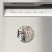 Northern Flicker Magnet. Magnet (In Situ (Geschirrspüler))