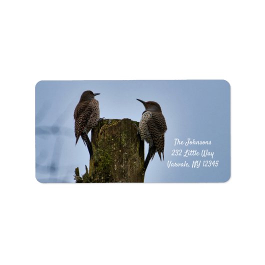 Northern Flicker New Address Label Adressaufkleber (Vorne)