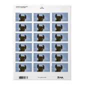 Northern Flicker New Address Label Adressaufkleber (Vorne)