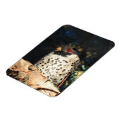 Northern Flicker - Spots Magnet (Linke Seite)