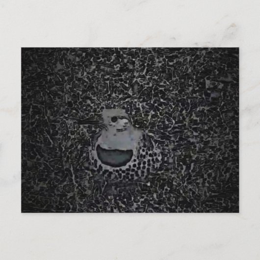 Northern Flicker Woodpecker v1 - Yard Critters Postkarte (Vorderseite)