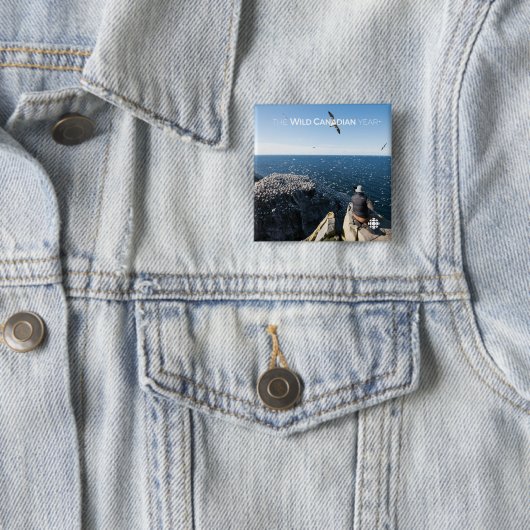 Northern Gannets Button (Beispiel)