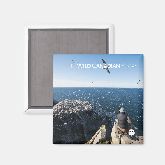 Northern Gannets Magnet (Vorderseite/Rückseite)