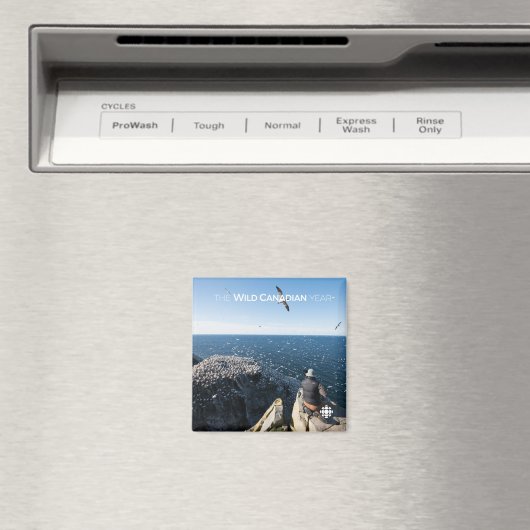 Northern Gannets Magnet (In Situ (Geschirrspüler))