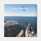 Northern Gannets Magnet (Vorne)