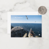 Northern Gannets Mitteilungskarte (Vorderseite/Rückseite Beispiel)
