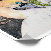 Northern Gannets Poster (Ecke)