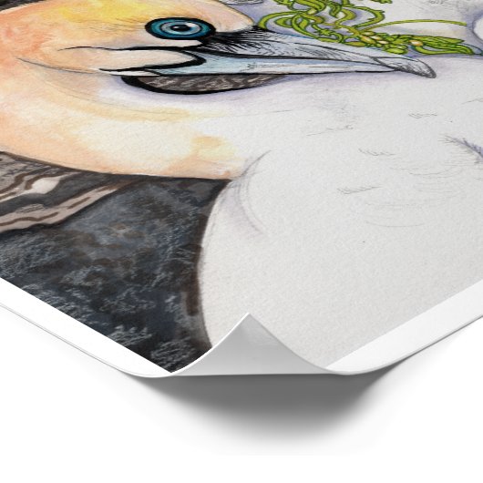 Northern Gannets Poster (Ecke)