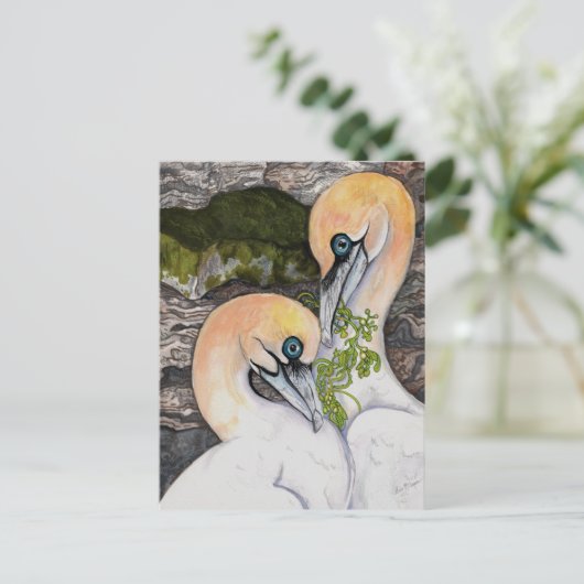 Northern Gannets Postkarte (Stehend Vorderseite)